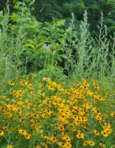 Wenham Gallery 650x850 19