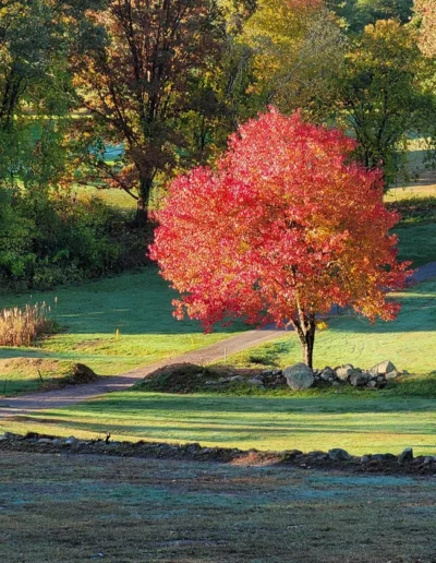 Wenham Gallery 650x850 9